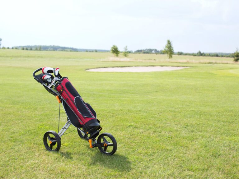 What Is The Best Golf Bag For a Push Cart? Best Golf Accessories