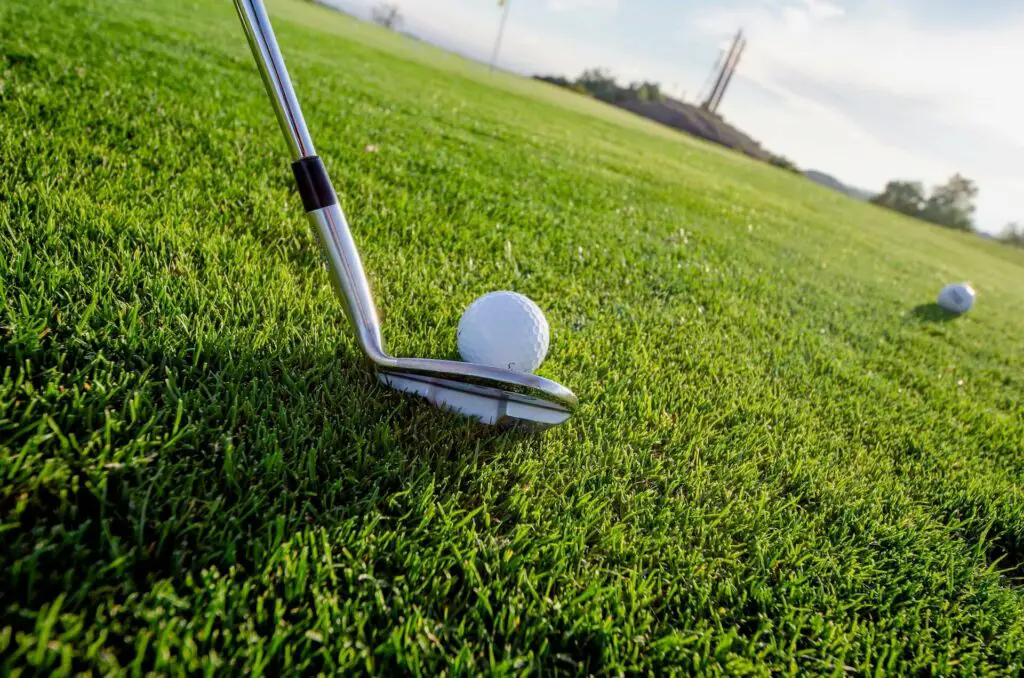 A golf club touching a golf ball on the greens