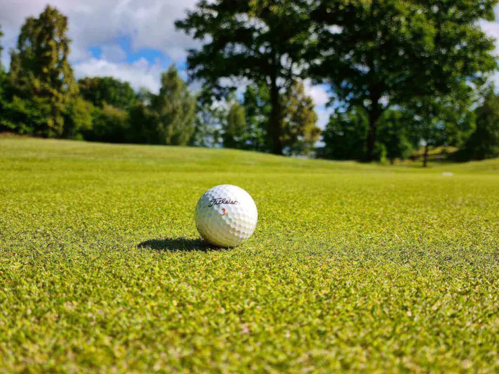 A golf ball in the middle of a golfing course