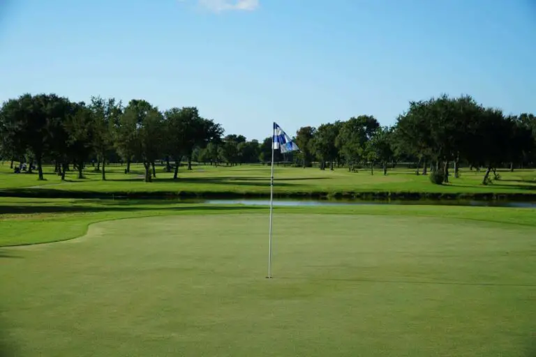 A golf course and a flag sticking out from a hole