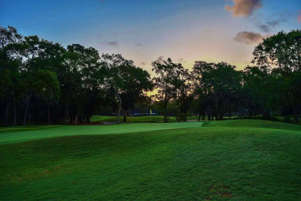 A golfing fairway in the sunset