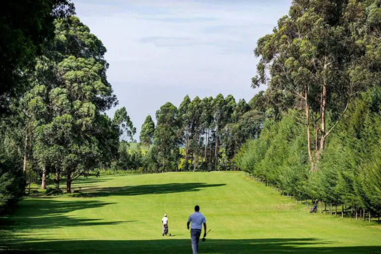 A large fairway and two men golfing on it