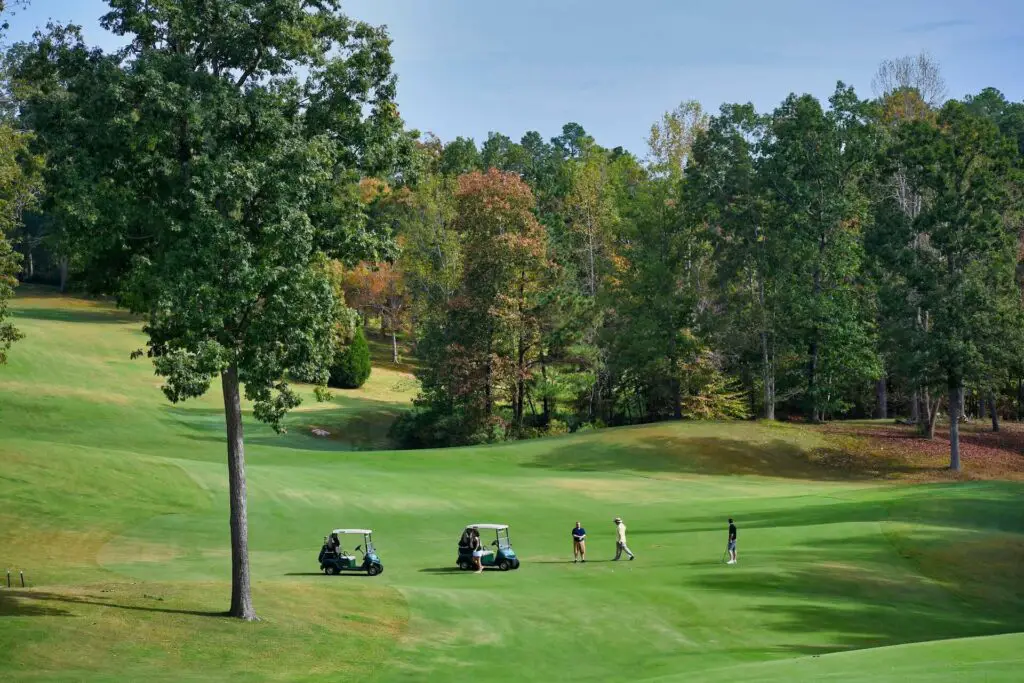 People and carts on a golf course