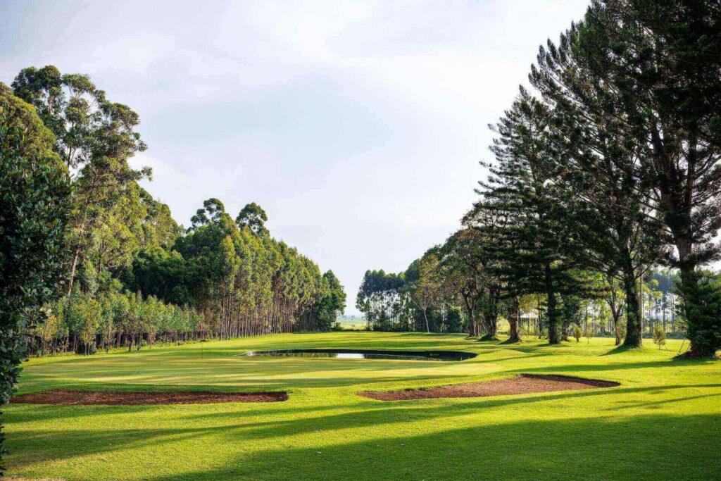 A green golf course