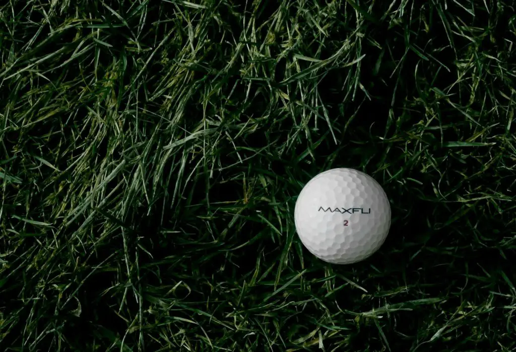 A golf ball in tall grass 