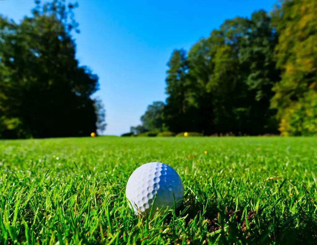 Golf ball in the grass 